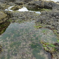 DSC02536